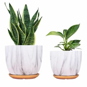 Indoor Planters (Type: Ceramic)