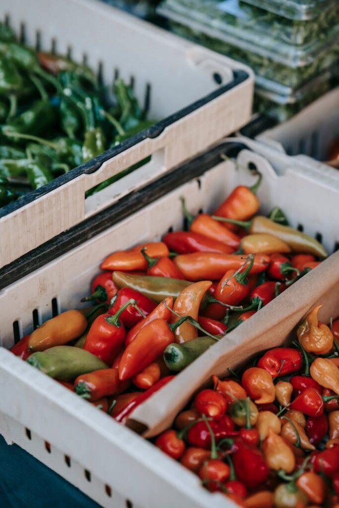 High angle of container with heap of various colorful fresh peppers placed on stall in local farm market